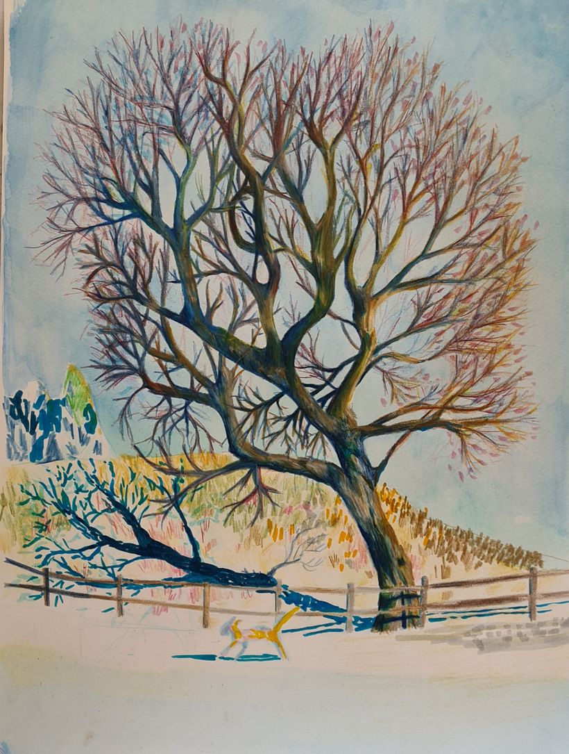 My project in Sketchbook Landscapes: A Colorful Approach course 8