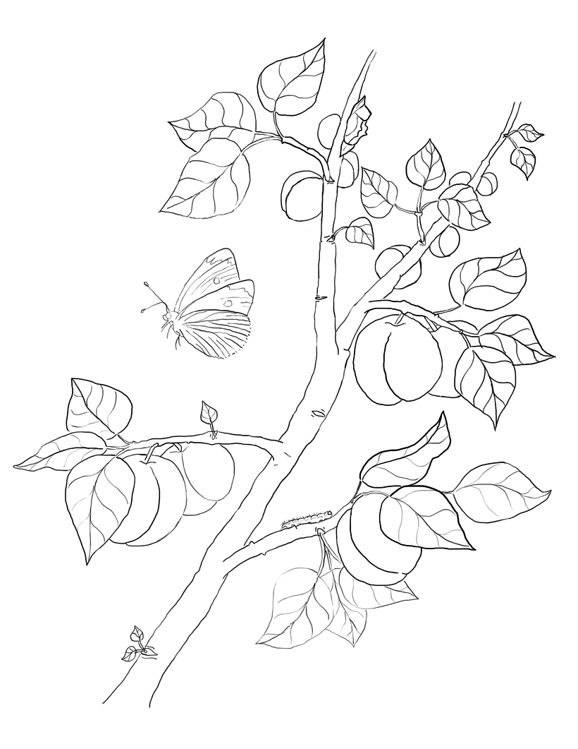 Digital Sketch