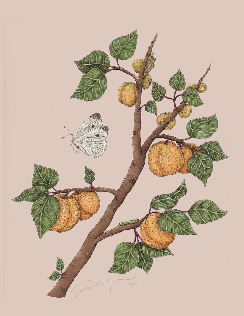 Completed Artwork