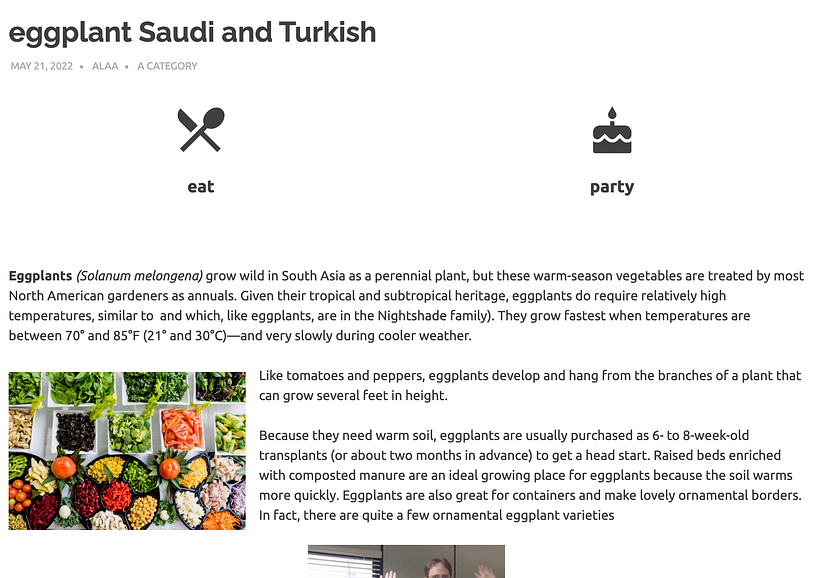 My project for course: Creation of a Professional Website with WordPress 2