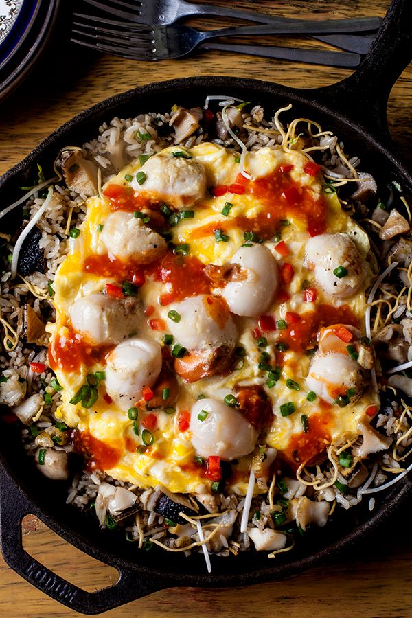 conchas - Luz artificial