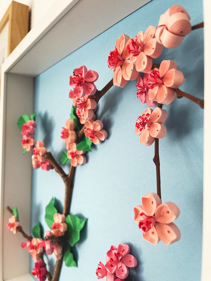 SAKURA 8