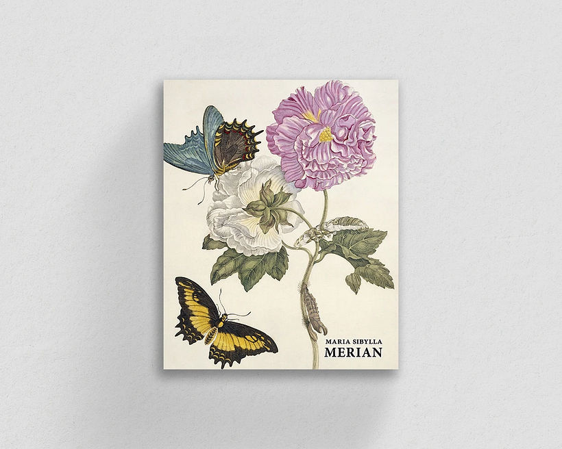 Maria Sibylla Merian (Artist Monographs) von Daniel Kiecol