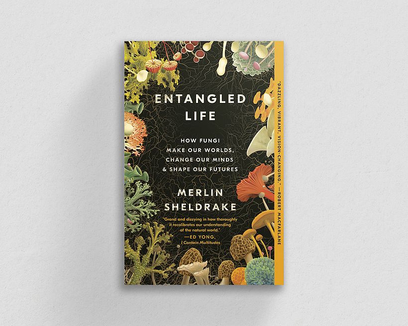 Entangled Life: How Fungi Make Our Worlds, Change Our Minds and Shape Our Futures von Merlin Sheldrake