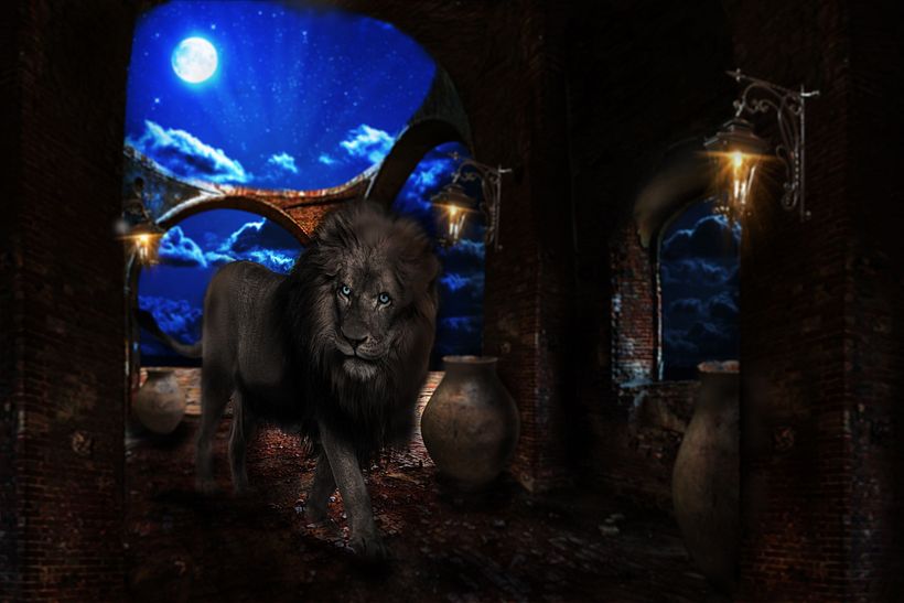 lion at night, moon. 1