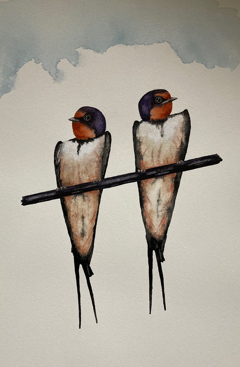 My project in Artistic Watercolor Techniques for Illustrating Birds course 2