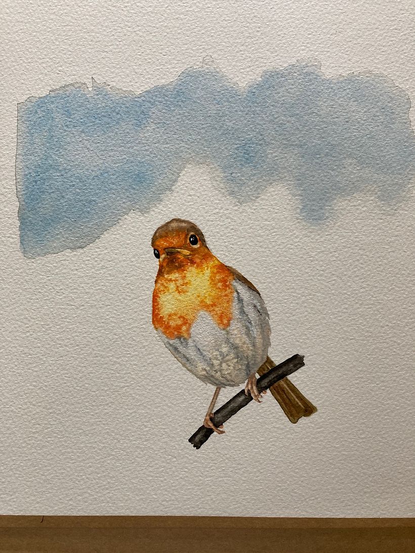 My project in Artistic Watercolor Techniques for Illustrating Birds course 3