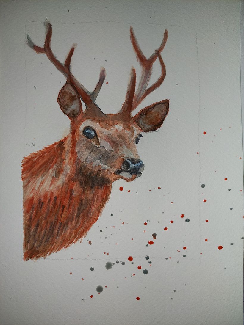 Mein Kursprojekt: Ausdrucksstarke Tierporträts in Aquarell 2
