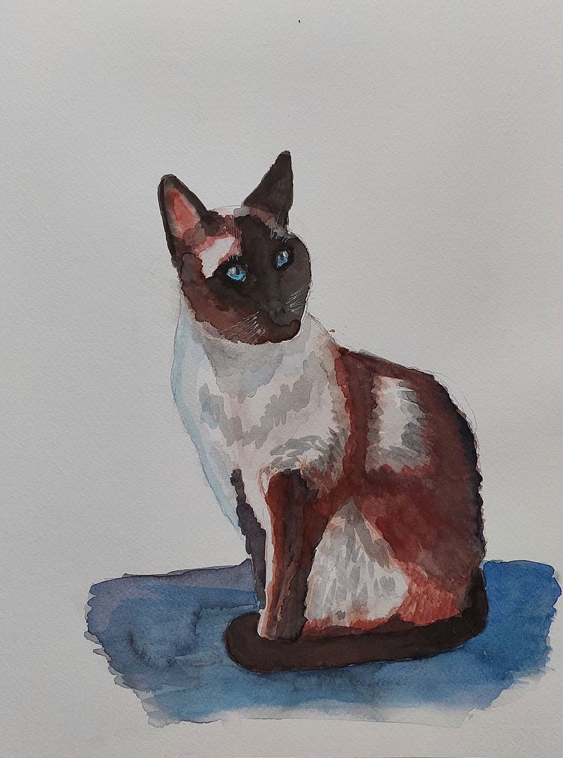 Mein Kursprojekt: Ausdrucksstarke Tierporträts in Aquarell 5