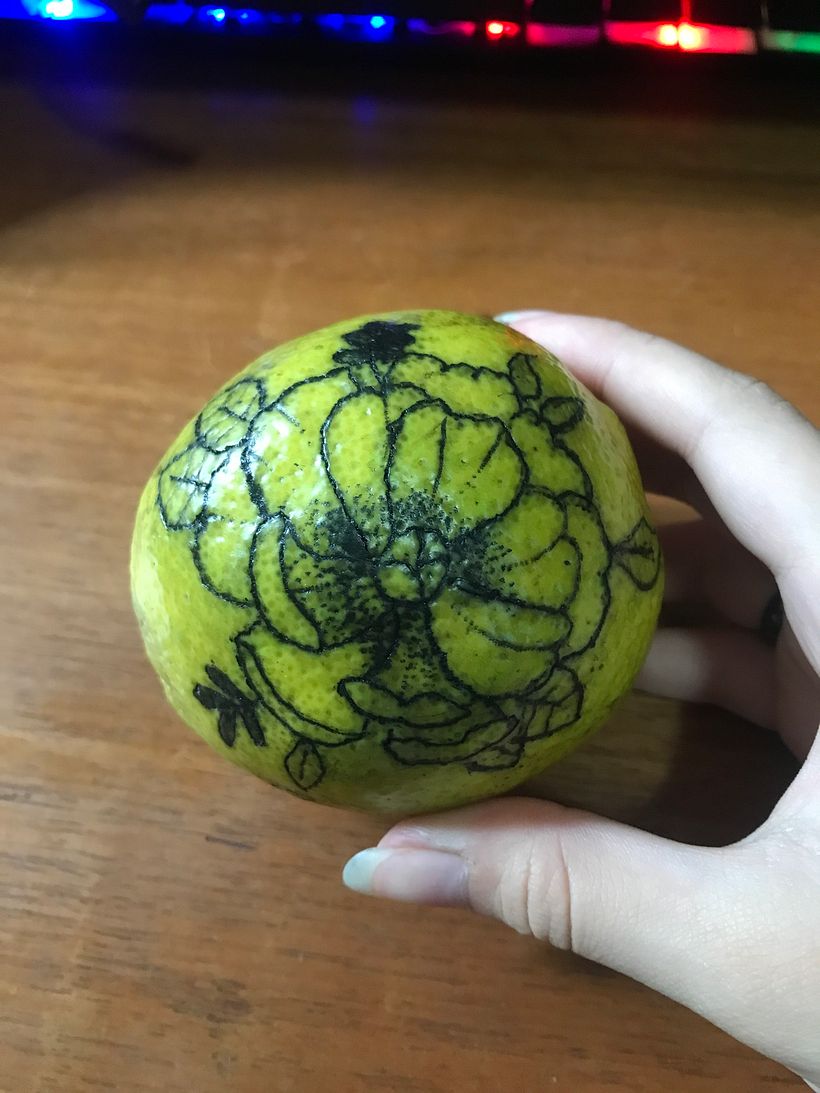 Meu projeto do curso: Tatuagem para principiantes 2