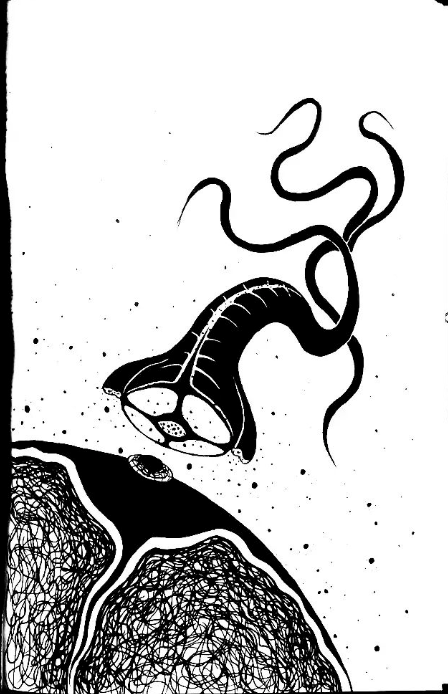 Ilustraciones propias - Illustration traditionnelle