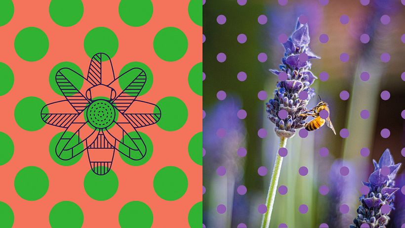 Symbeeosis organic products 10