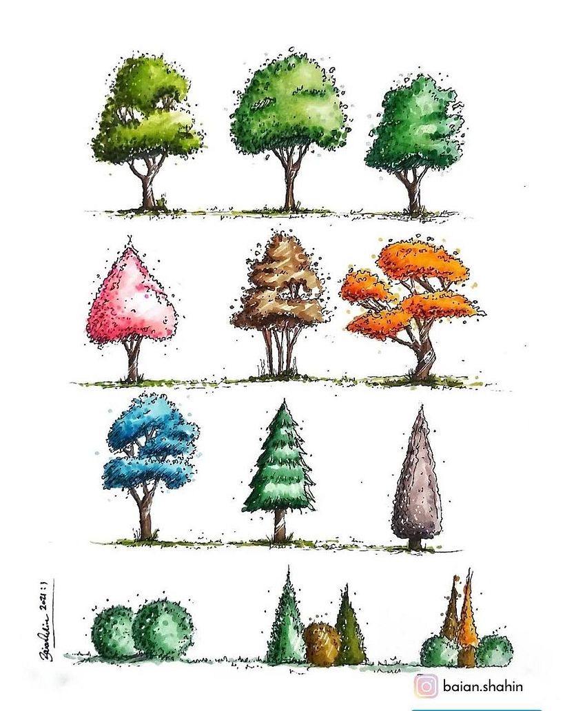 Trees -  in elevation rendered using markers