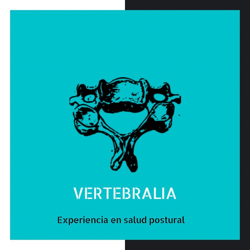 VERTEBRALIA: Experiencia en Salud Postural 1