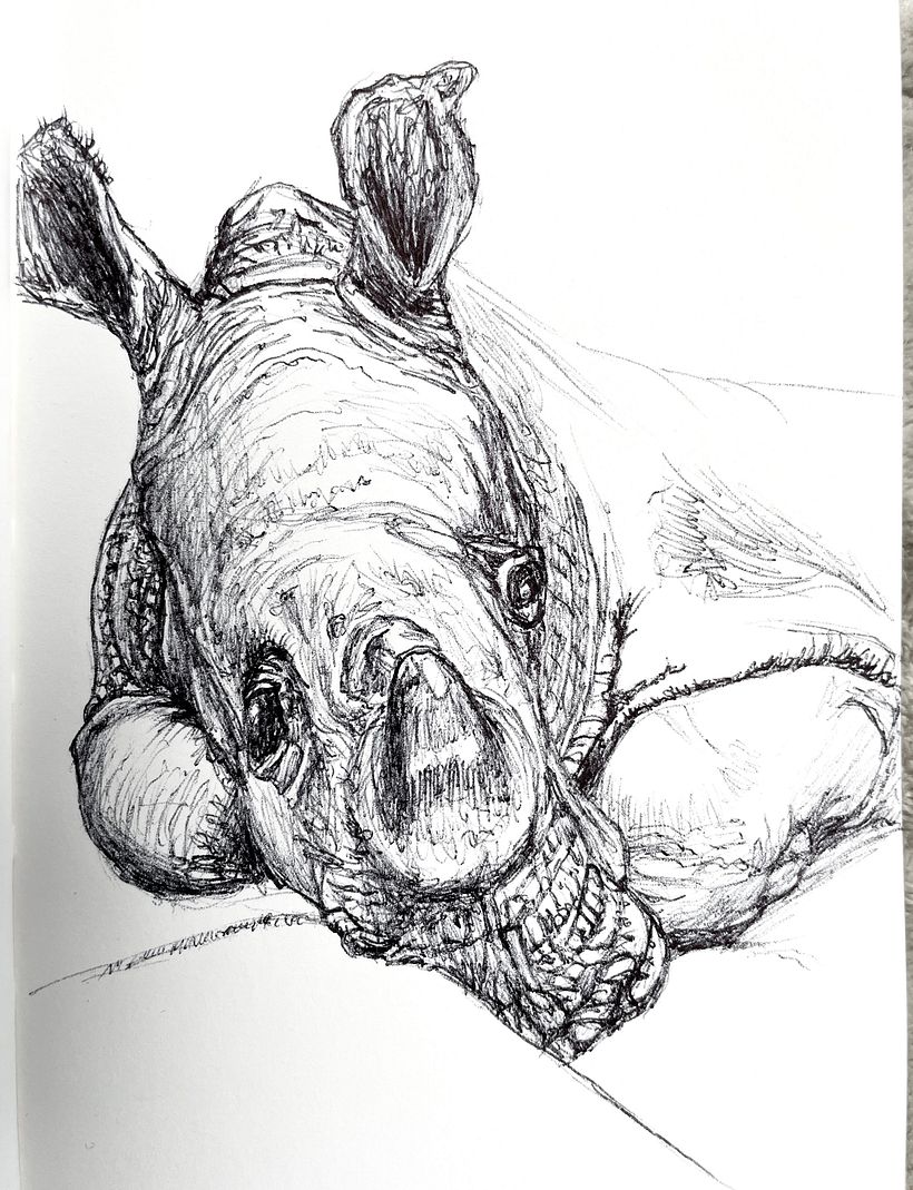 Mein Kursprojekt: Kugelschreiber-Illustration im Skizzenbuch: Aus Fehlern lernen 1