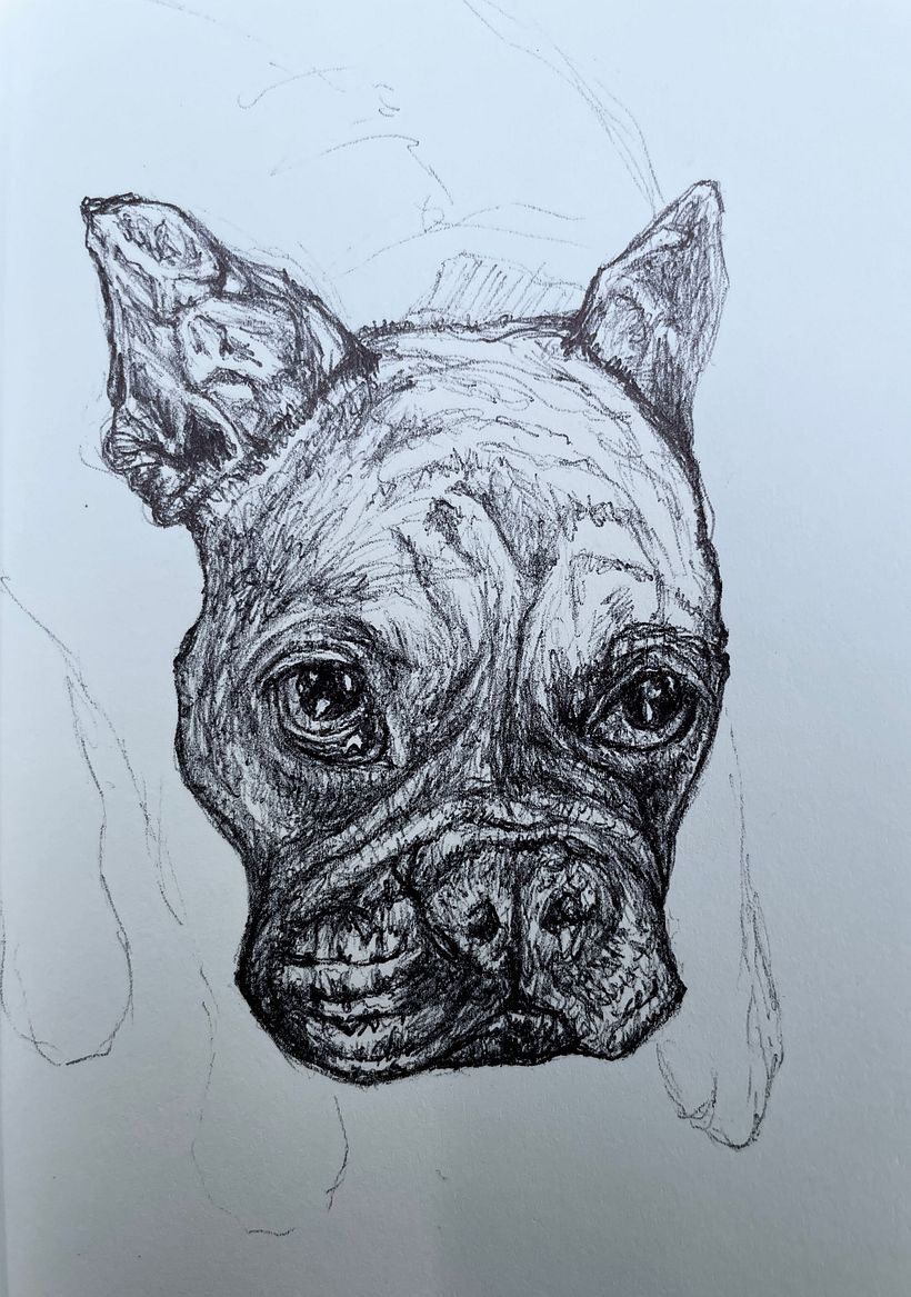 Mein Kursprojekt: Kugelschreiber-Illustration im Skizzenbuch: Aus Fehlern lernen 2