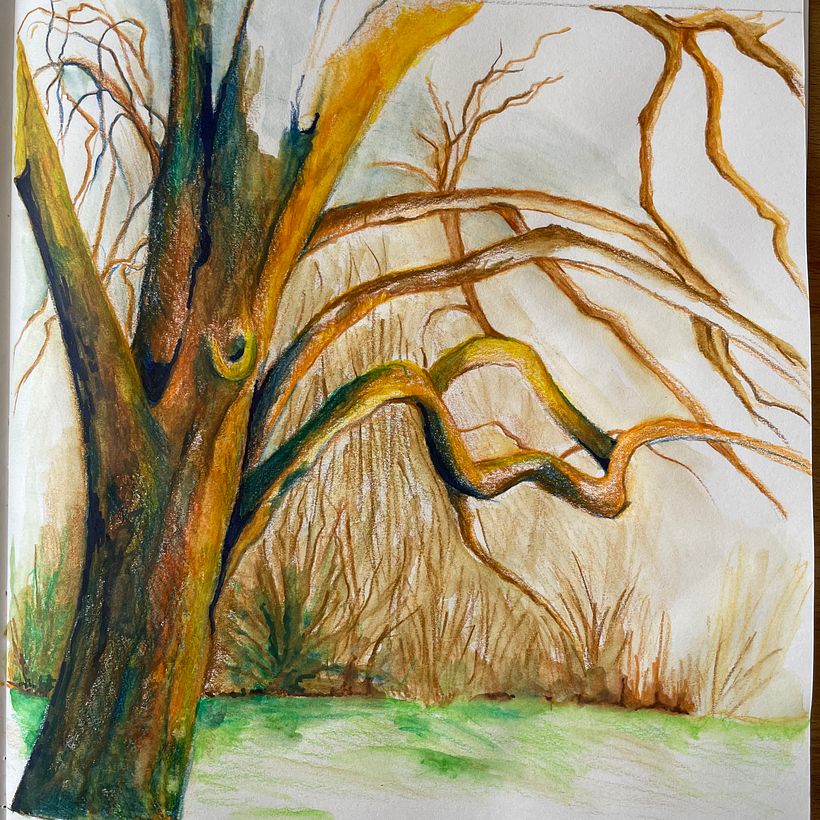 Mein Kursprojekt: Landschaften im Skizzenbuch: ein farbenfroher Ansatz 1