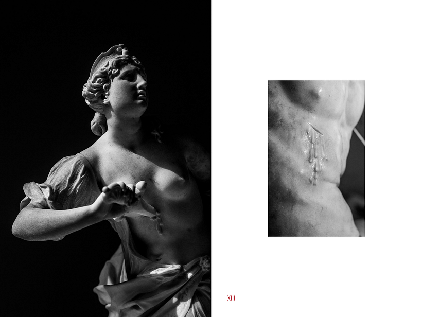 MIMESIS 5