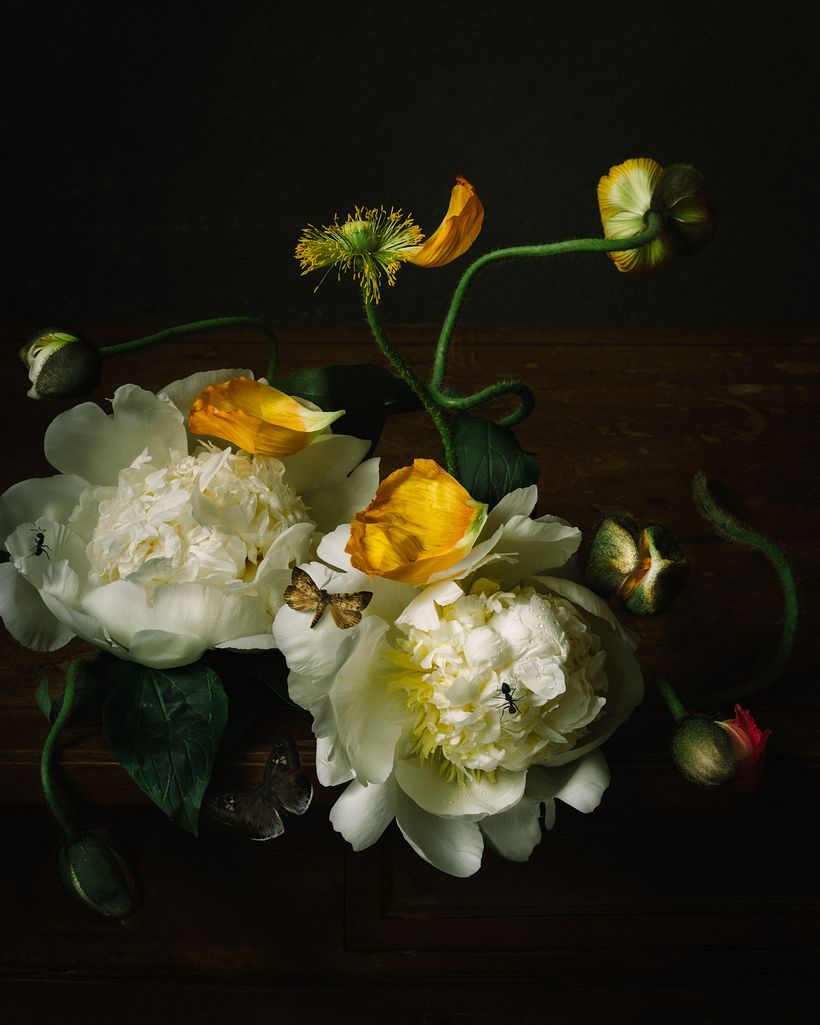 Naturaleza muerta con flores e insectos