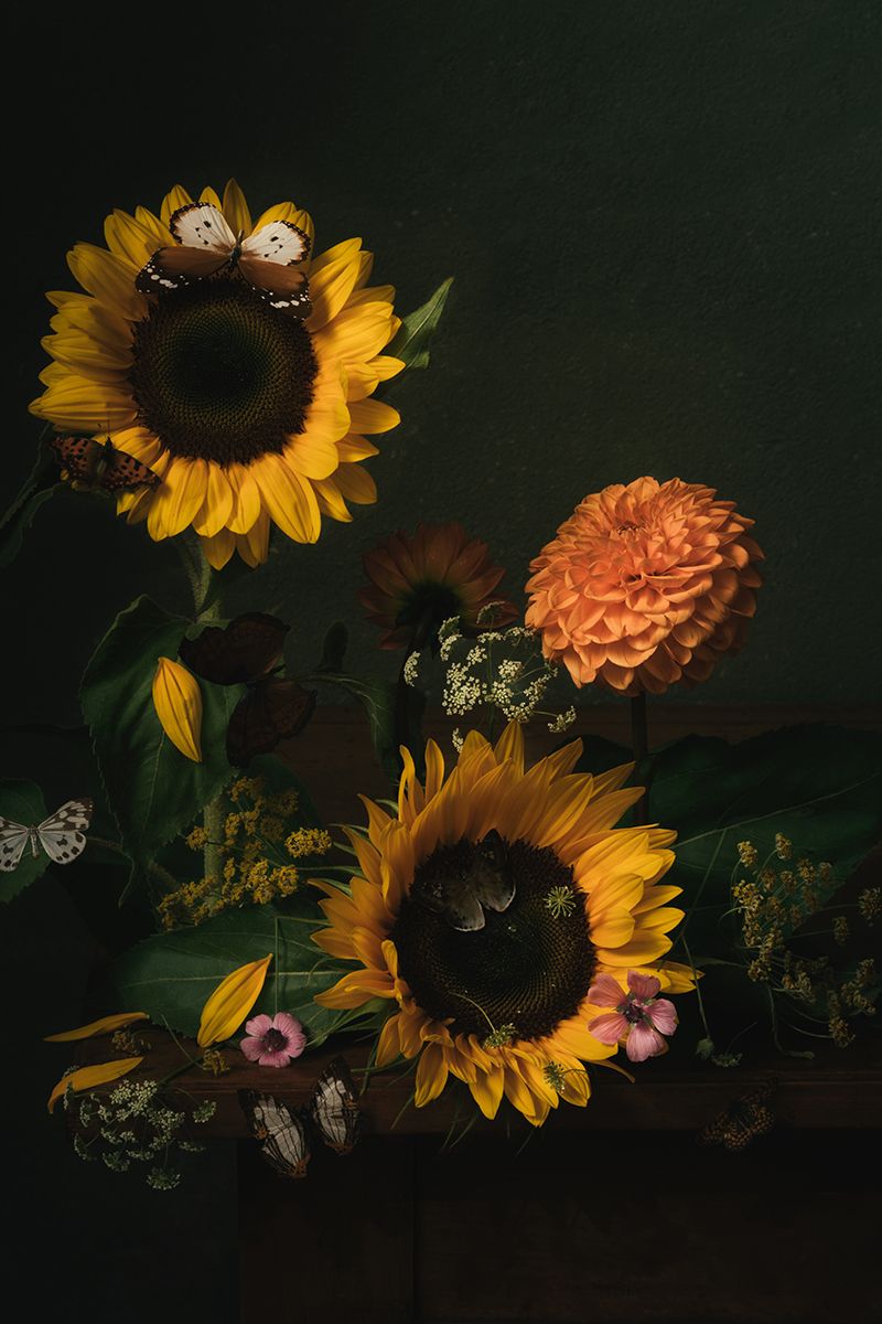 Naturaleza muerta con flores e insectos