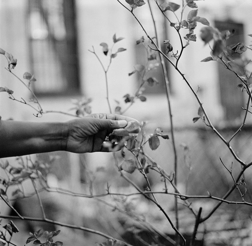 Roselyn Guyan-Gordon. This image belongs to Days of Silence, a documentary piece documenting deafness.