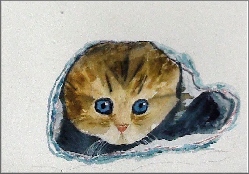 un bb persan caché sous un pantalon !