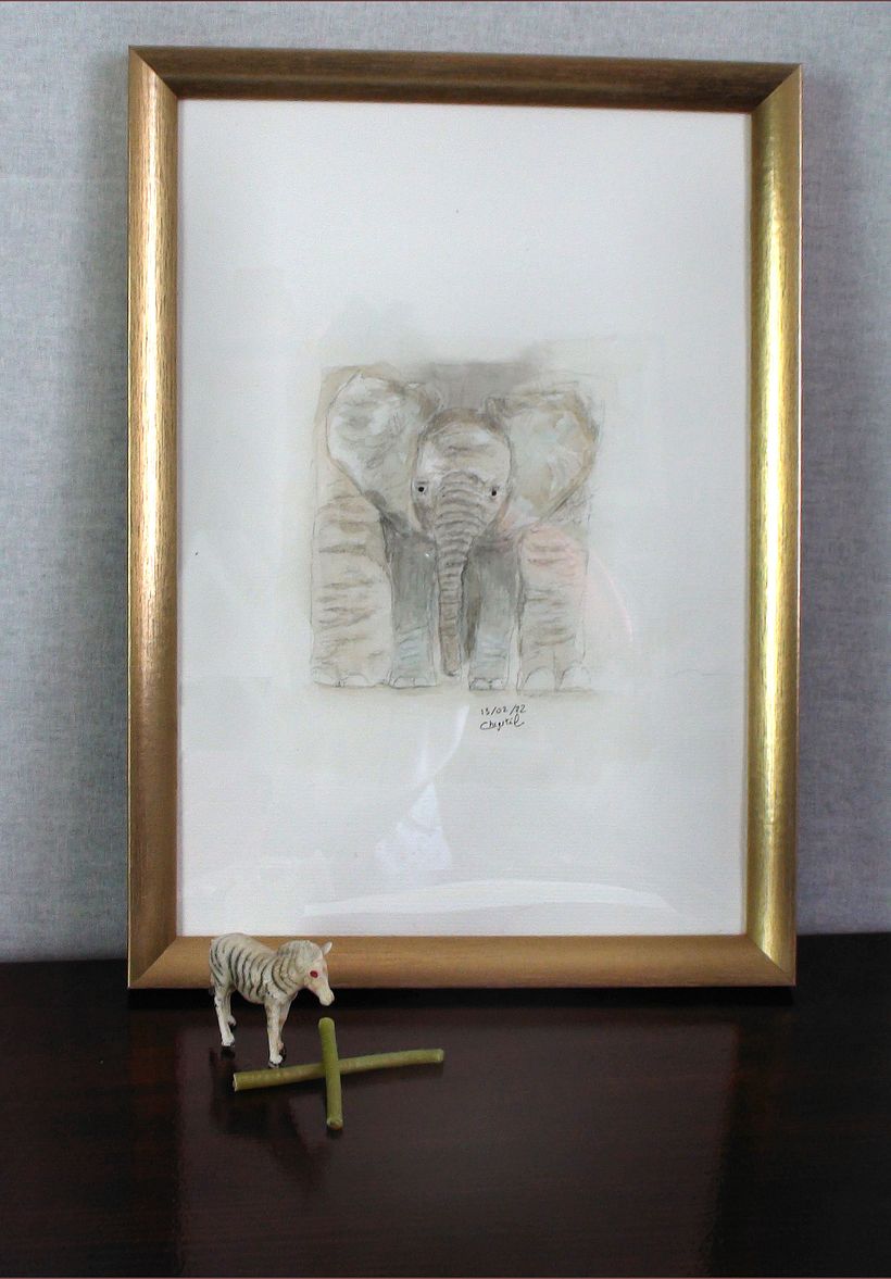 un bb éléphant avec sa maman