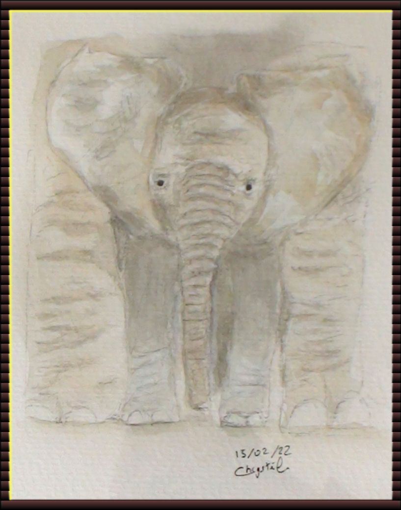 le même vu de plus près