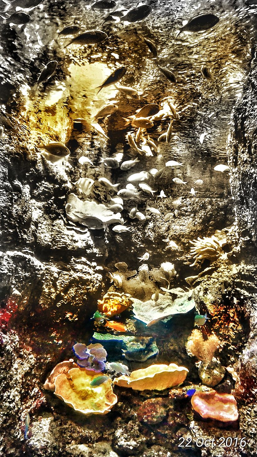 Post traitements photo  6