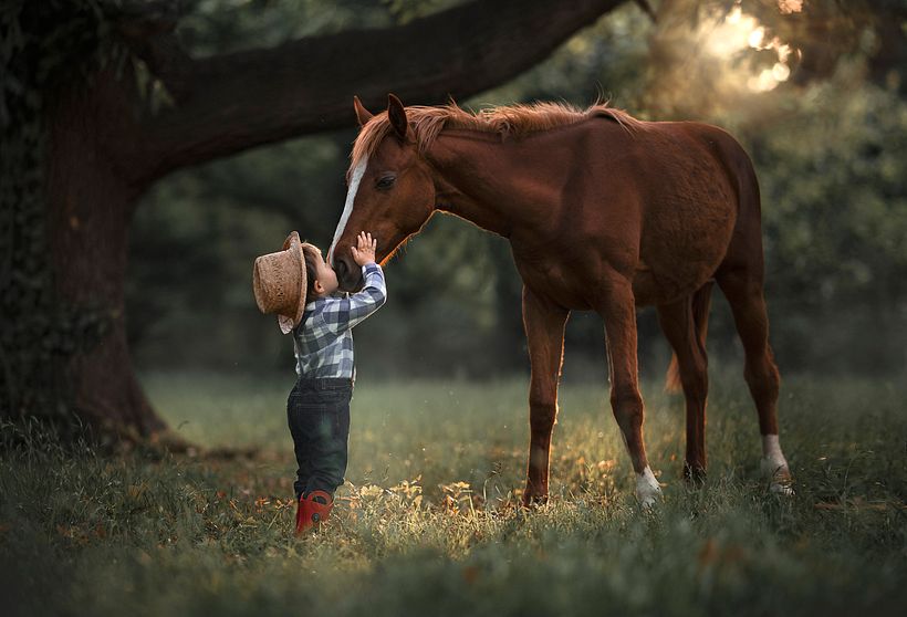 Mis fotografias favoritas 4