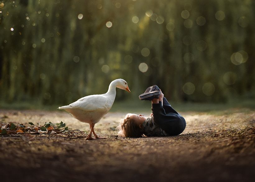 Mis fotografias favoritas 6