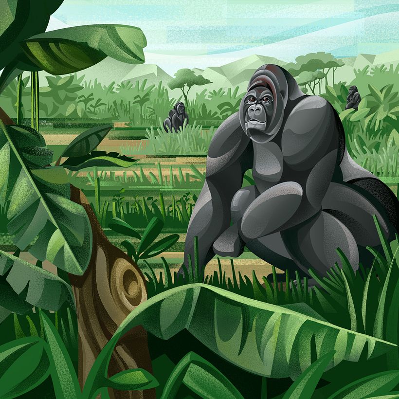Western Lowland Gorilla illustration