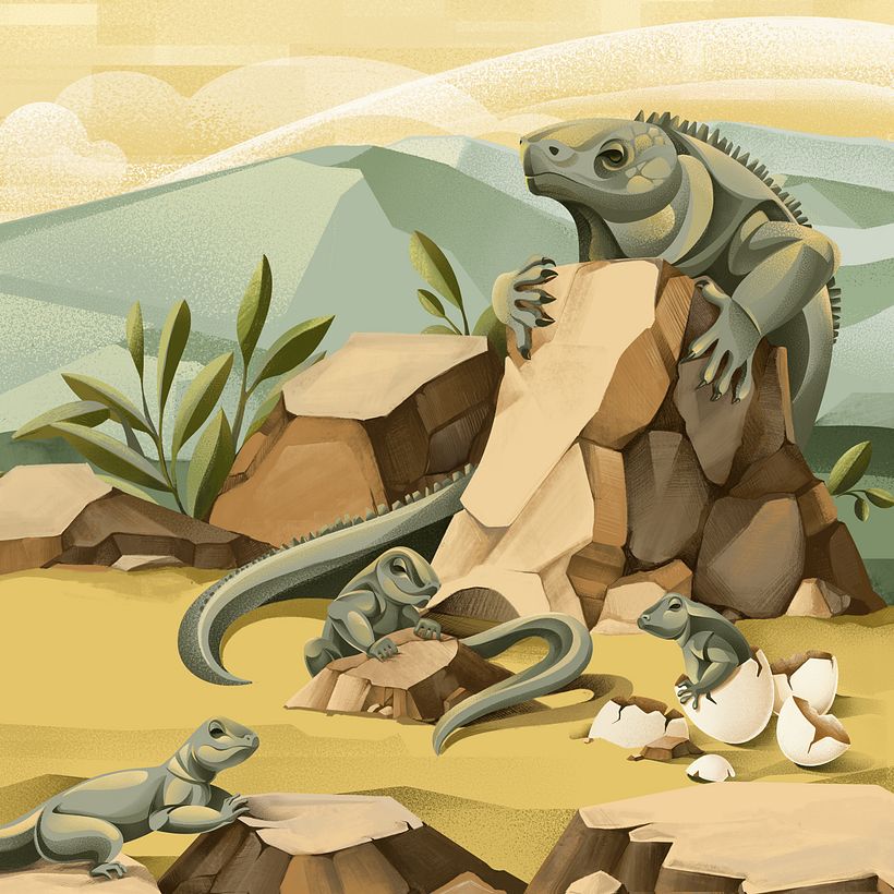 Jamaican Iguana illustration