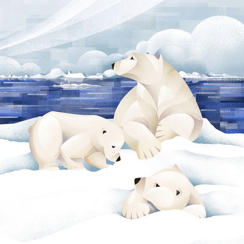 Polar Bear illustration