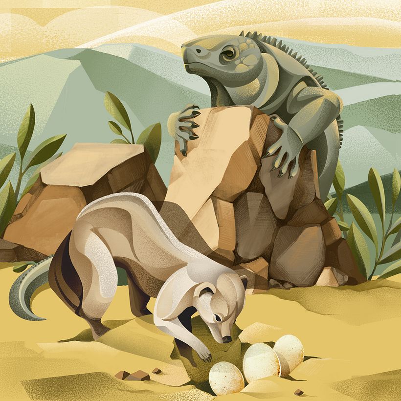 Jamaican Iguana illustration