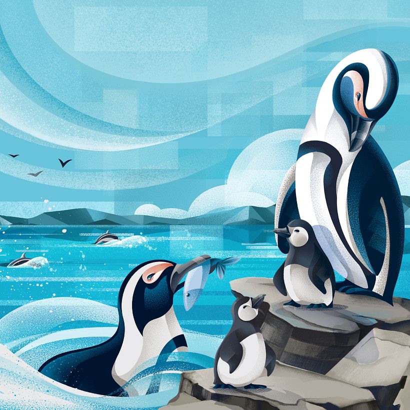 African Penguin Illustration