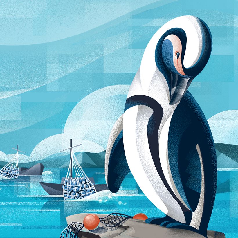 African Penguin Illustration