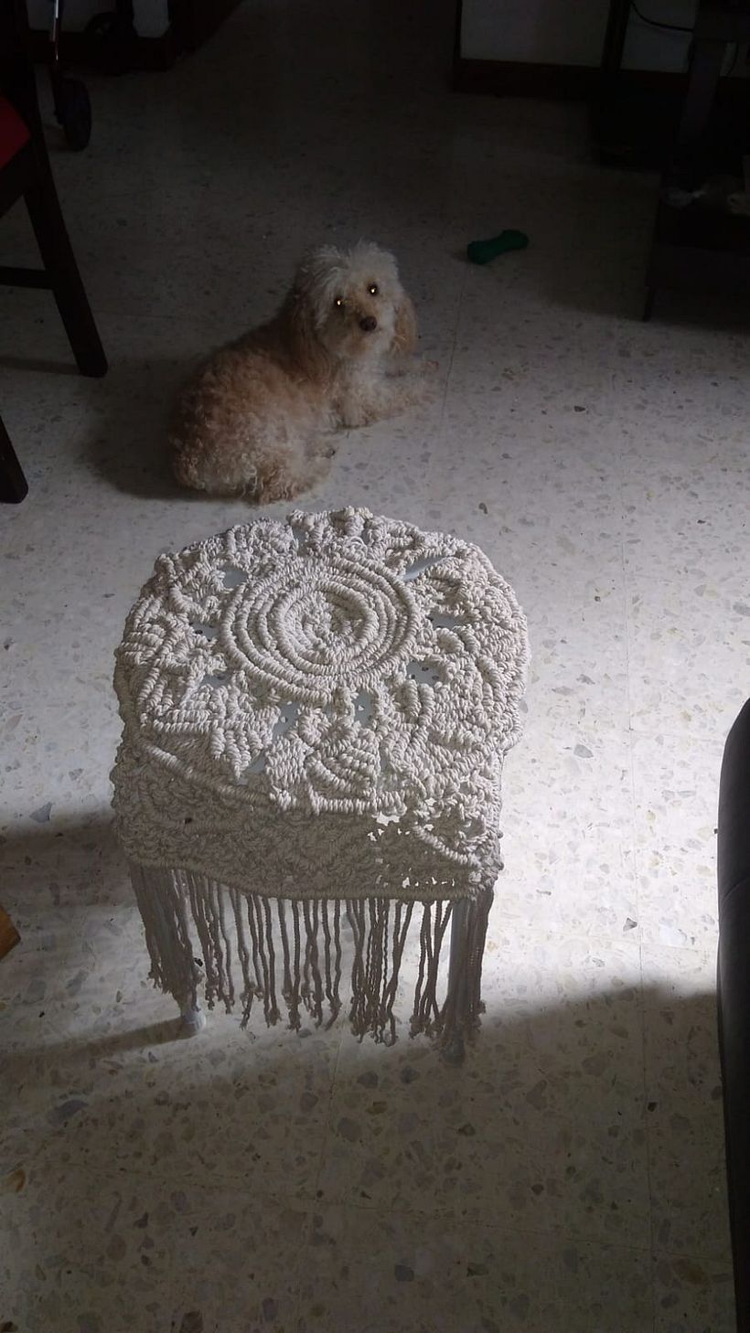 Mi proyecto del curso: Técnicas de macramé circular 1
