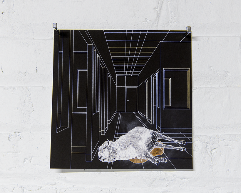 Assimilation Into Space, Craig Neeson - installation view, detail