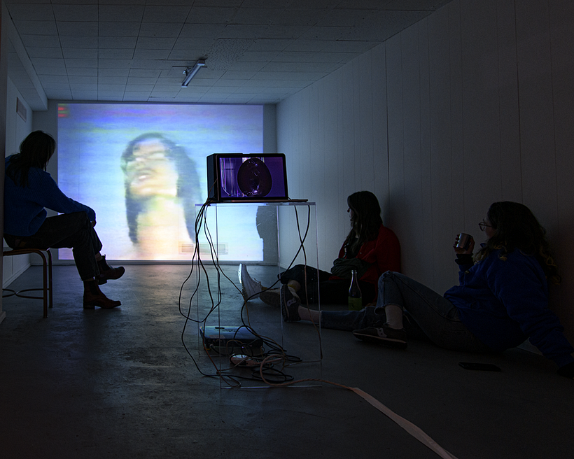 The Hundred Videos, Steve Reinke - screening view