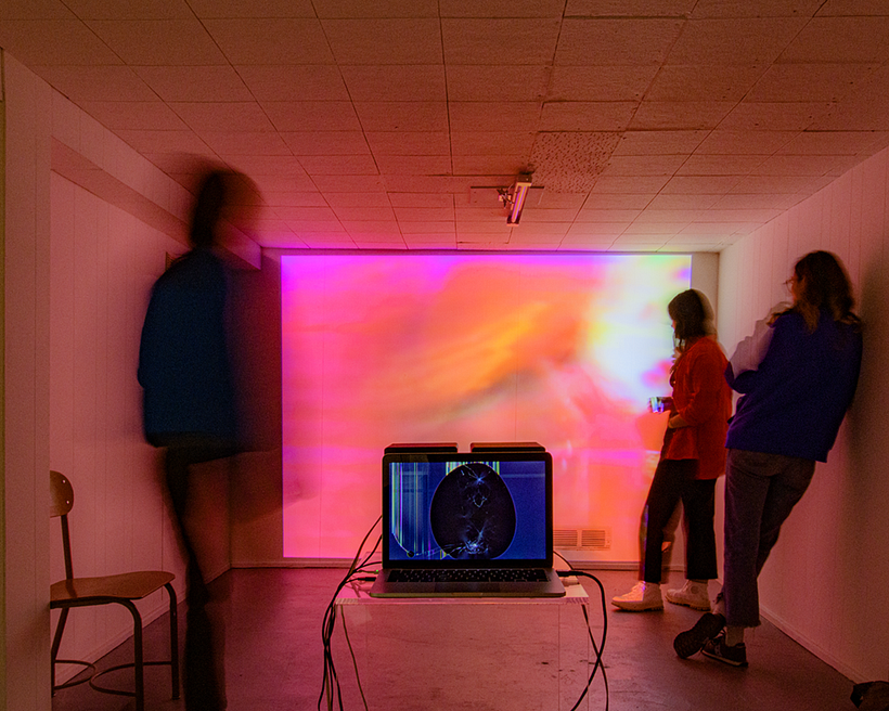 The Hundred Videos, Steve Reinke - screening view 2