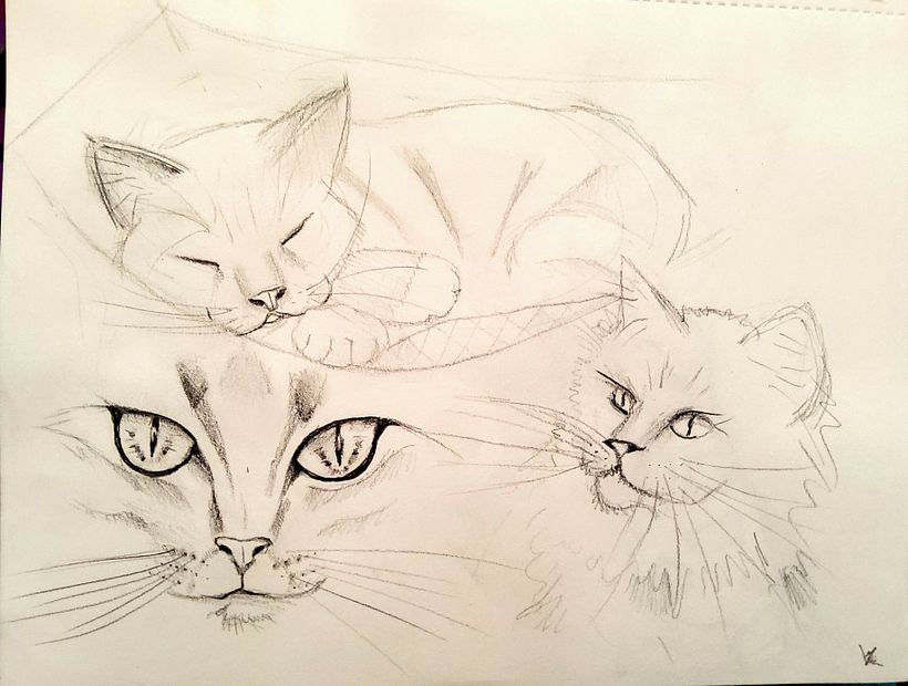 Meu projeto do curso: Técnicas experimentais de aquarela para principiantes 1