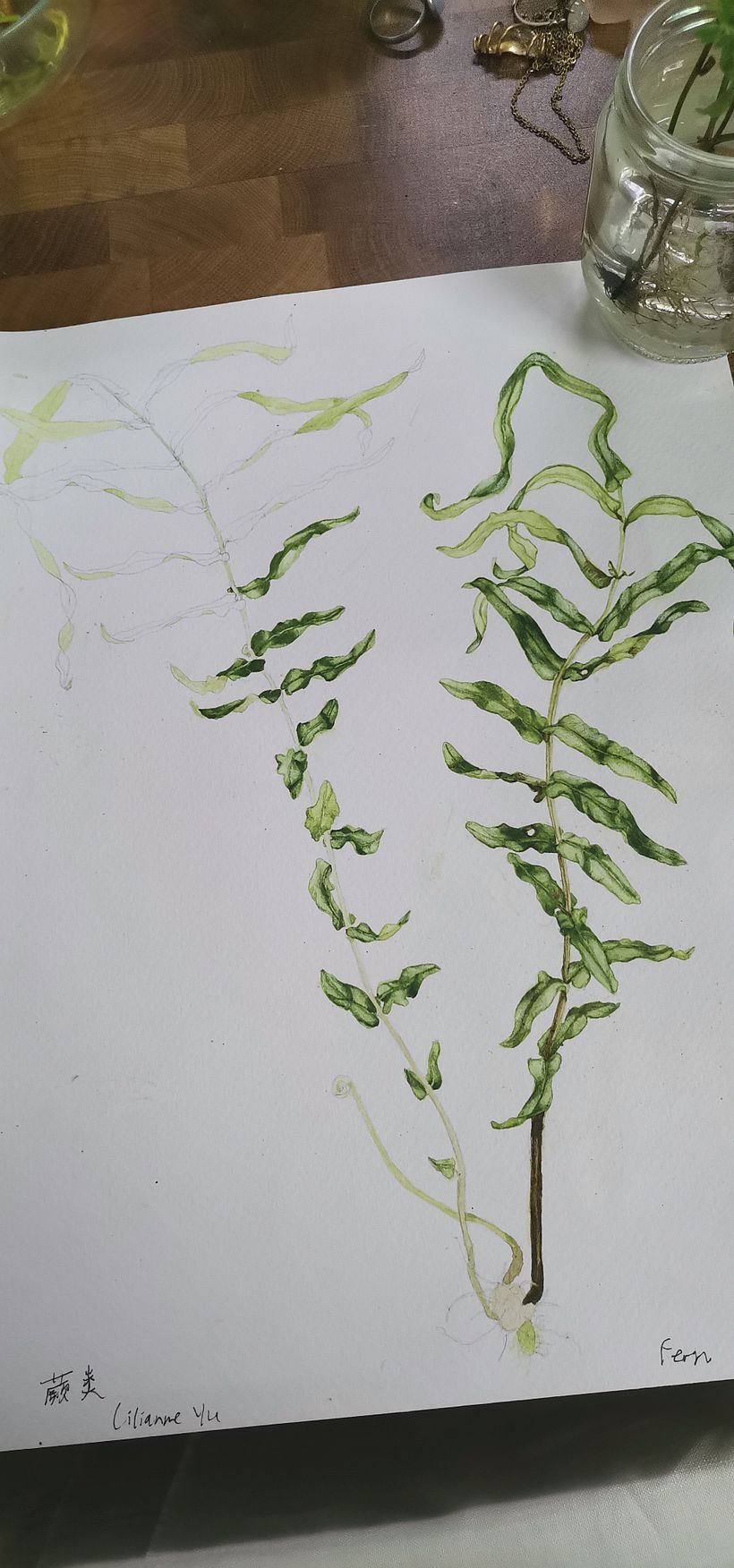 Connection with The Plants 4
