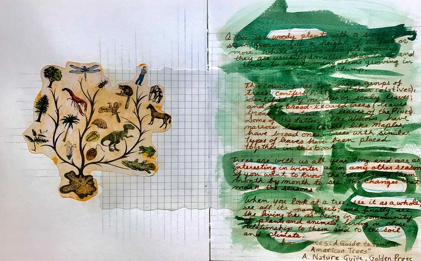 Trees: Scientific Perspective - Collage and Writing