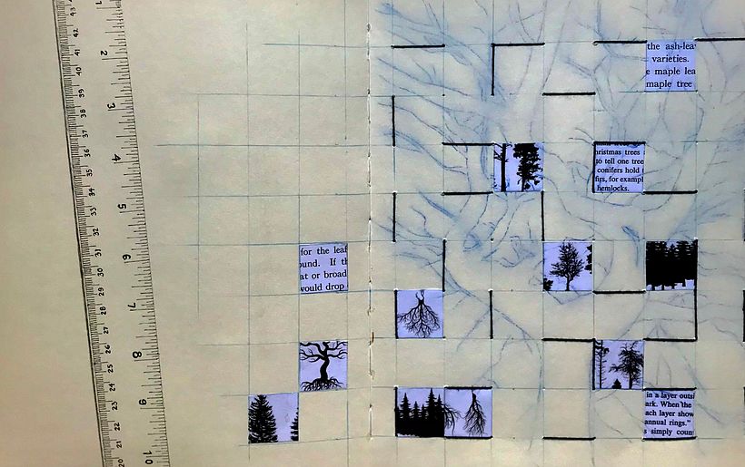 Trees, Scientific Perspective: Collage, drawing, and sewing