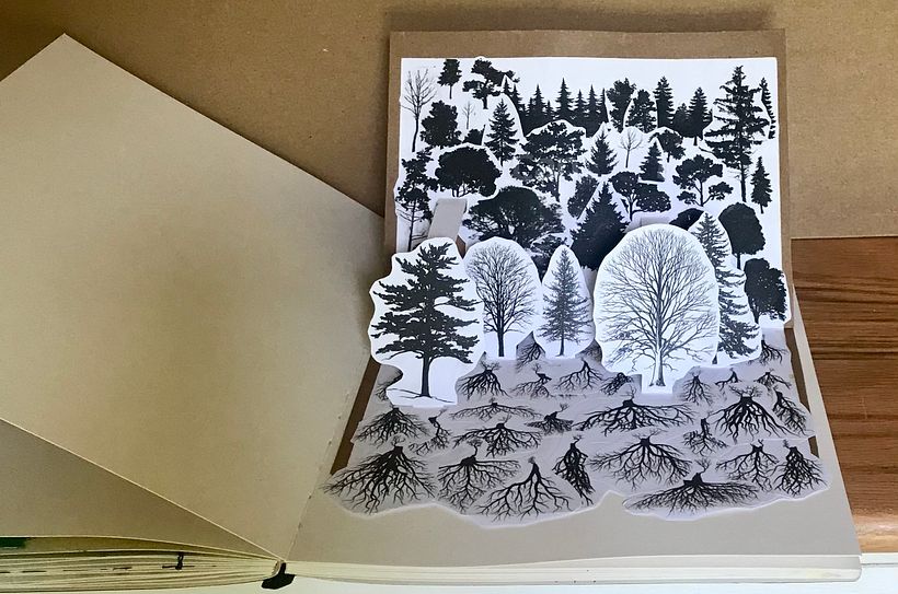 Trees: Forest Popup