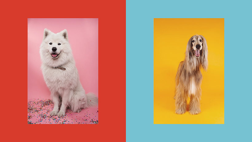 Mila·Max | concept & branding 12