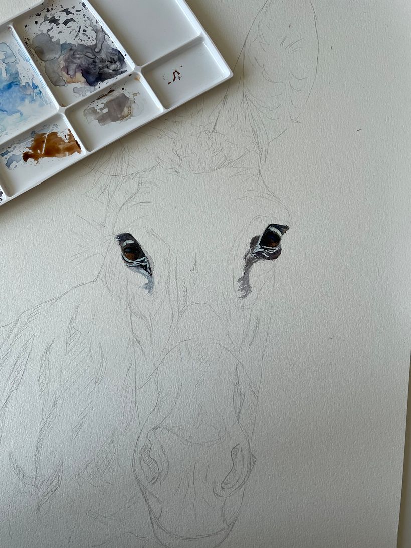 Mein Kursprojekt: Ausdrucksstarke Tierportraits in Aquarell 2