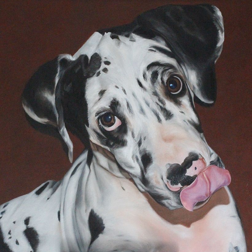 Óleo sobre lienzo, 40x40cm