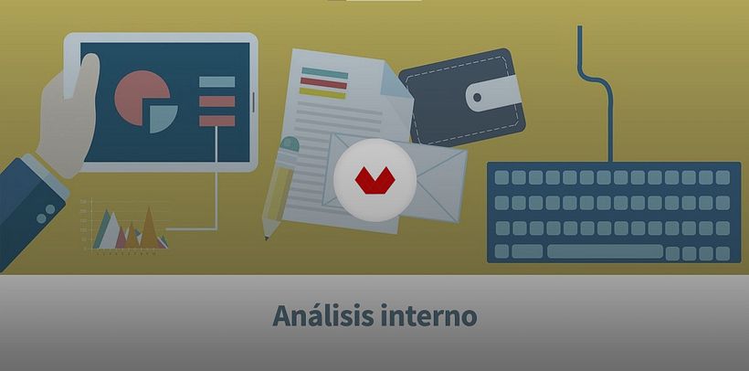 Análisis interno, por Nuria Mañé.